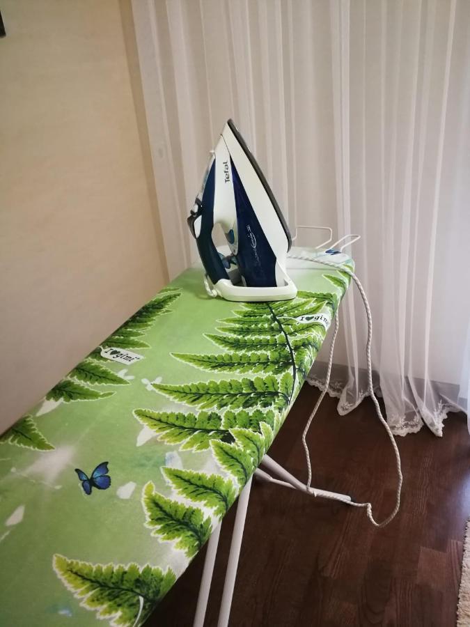 Cathedral Park And Pedestrian Zone Ultracentral Cozy Apartment In 基希讷乌 外观 照片
